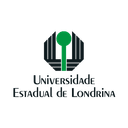 professores formados nas melhores universidades